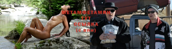 мяу мяу мука Дмитров