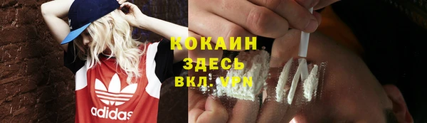 ГАЛЛЮЦИНОГЕННЫЕ ГРИБЫ Дмитровск