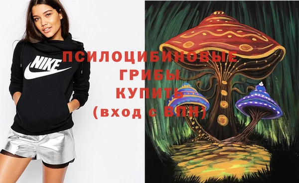 кокаин премиум Дмитриев