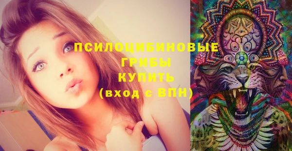 мяу мяу мука Дмитров