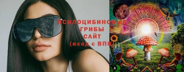 мяу мяу мука Дмитров