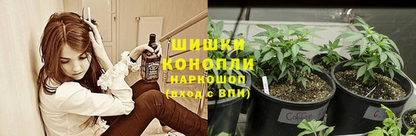 кокаин премиум Дмитриев
