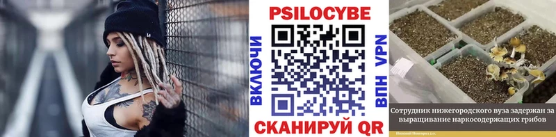 Купить  Усмань  Псилоцибиновые грибы Psilocybe 